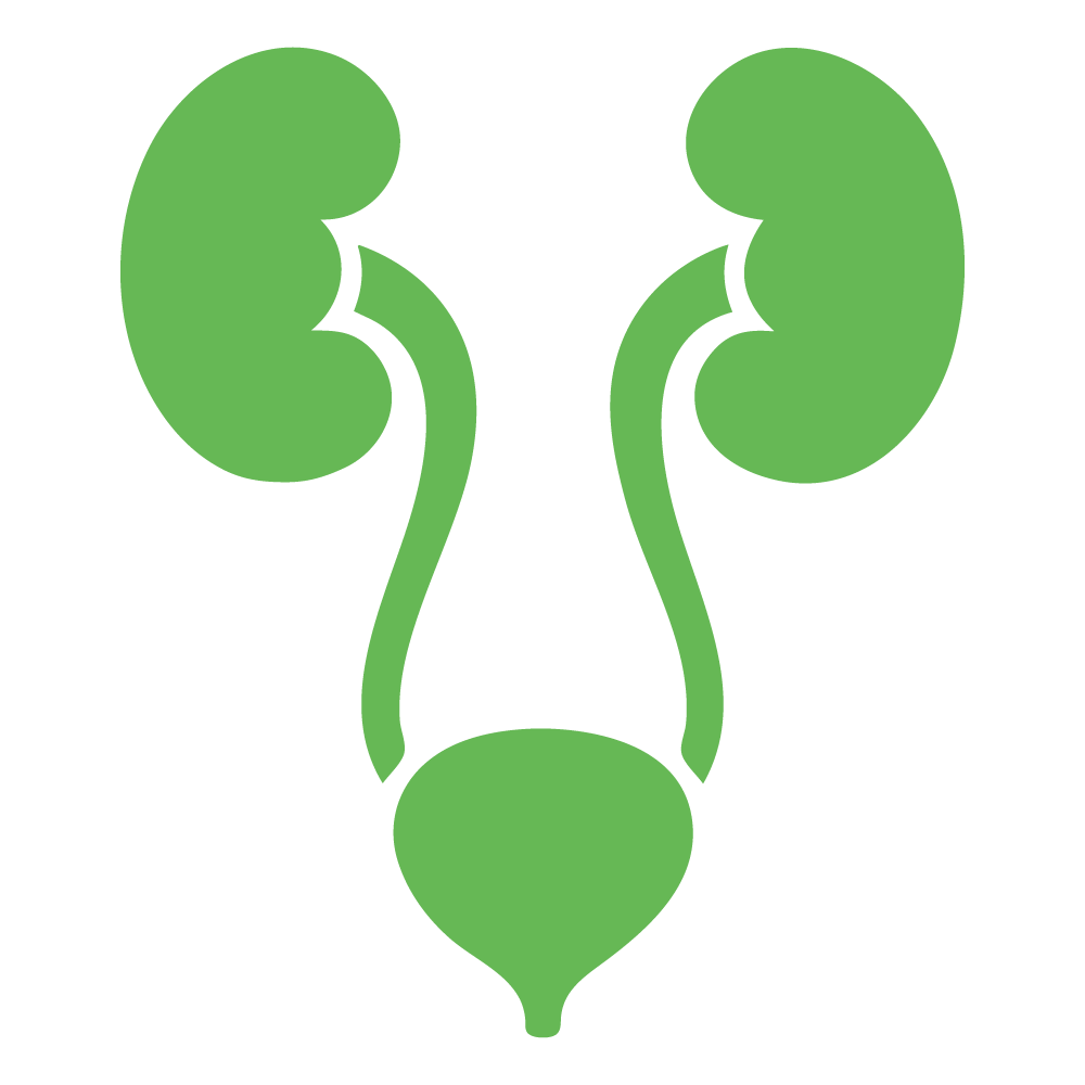 Genito Urinary
